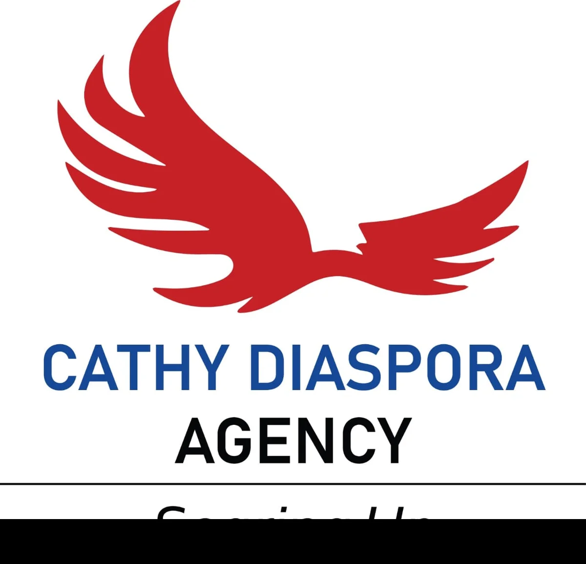 Cathy Diaspora Agency